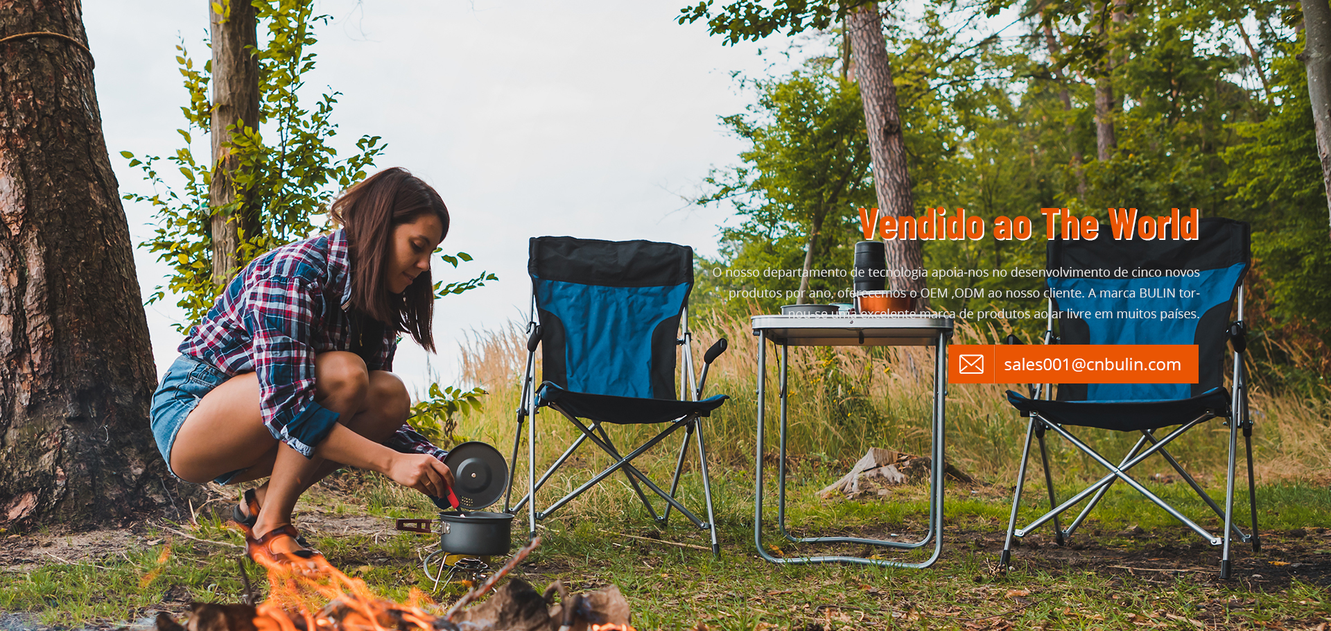 camping gas stove